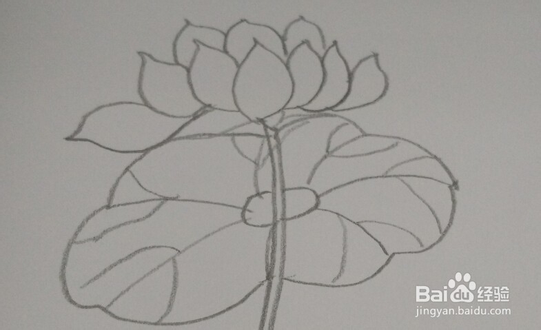 油画棒画【荷花】简单教程