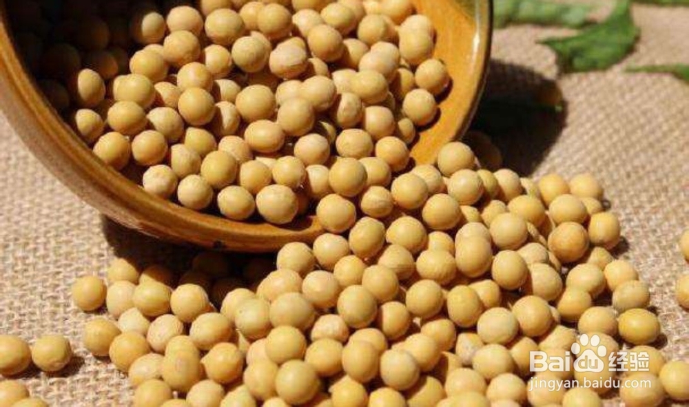 哪些食物不适合和黄豆在一块吃