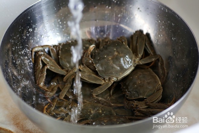 教你做清蒸螃蟹