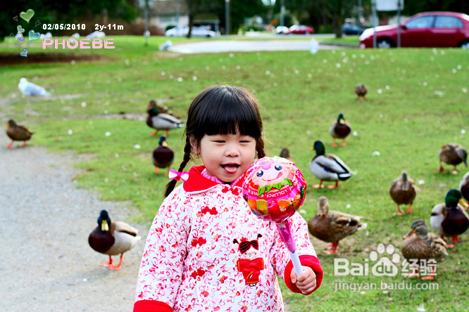 棒棒糖女孩和温哥华绿头鸭(组图)