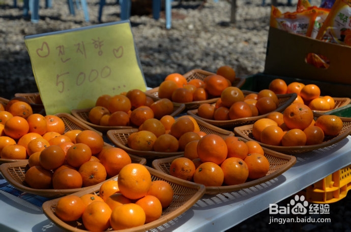 韩国济州岛旅游全攻略：[3]美食
