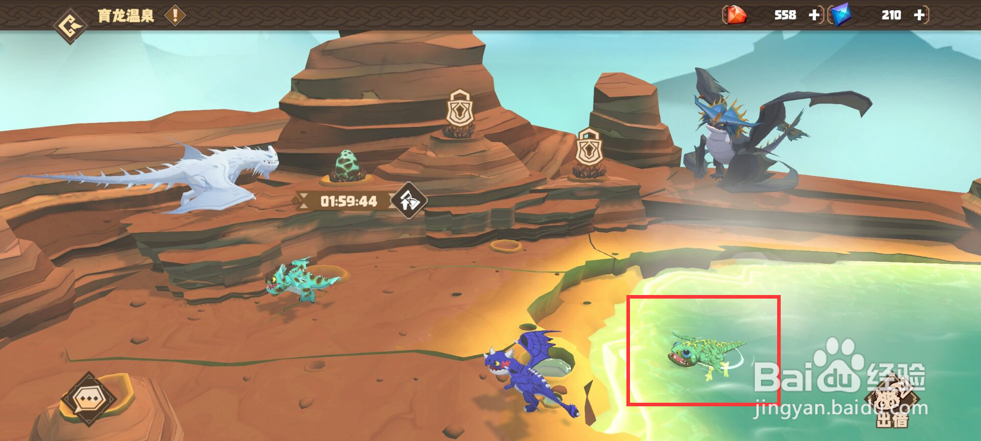 驯龙高手旅程怎么进行涡流龙幼龙喂养