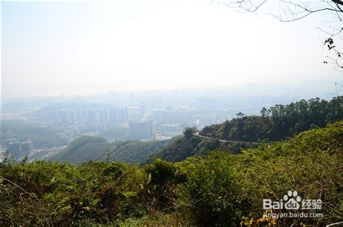 【深圳免费景点篇】塘朗山郊野公园游玩攻略