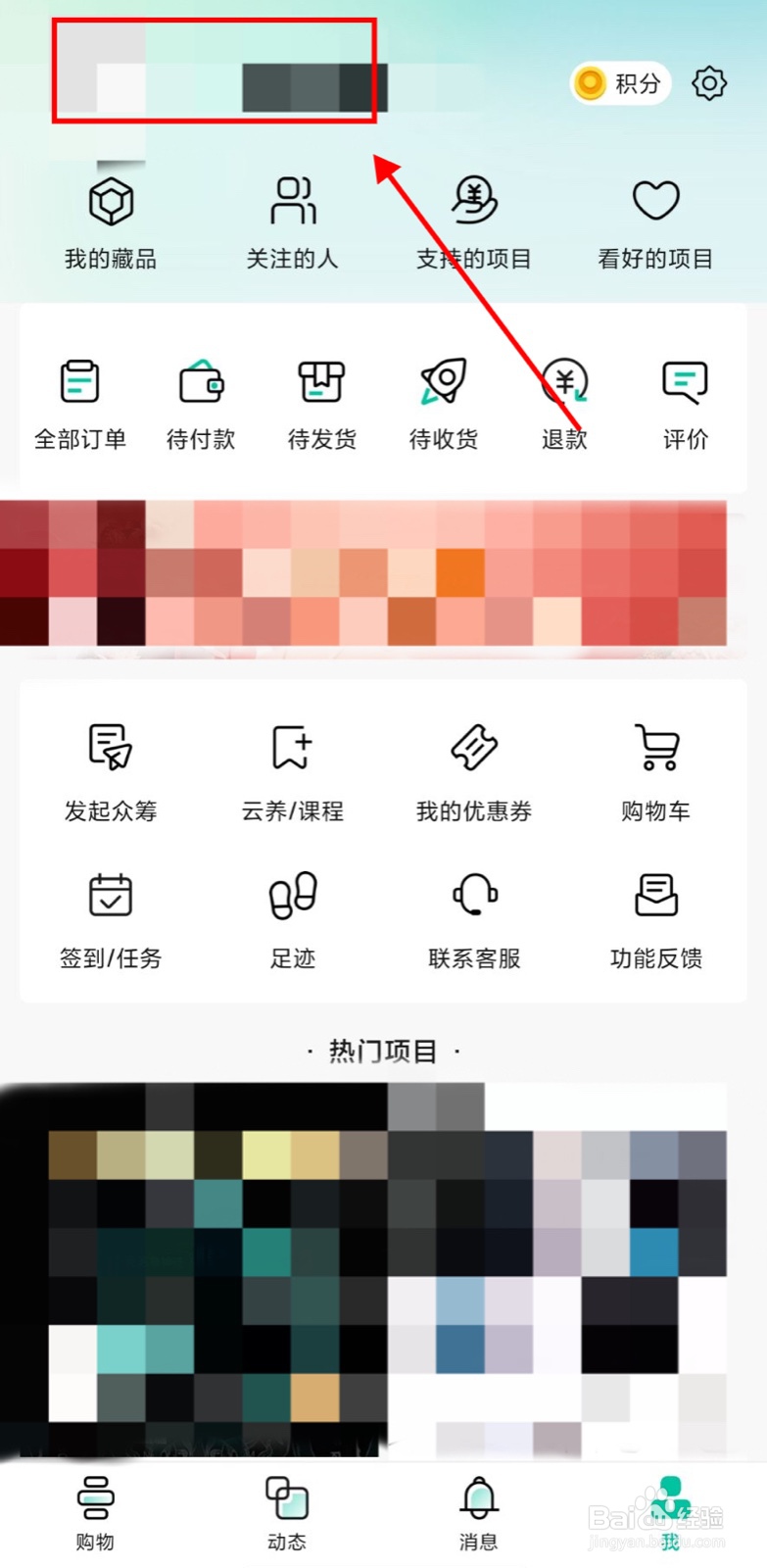 摩点app怎么创建动态合集