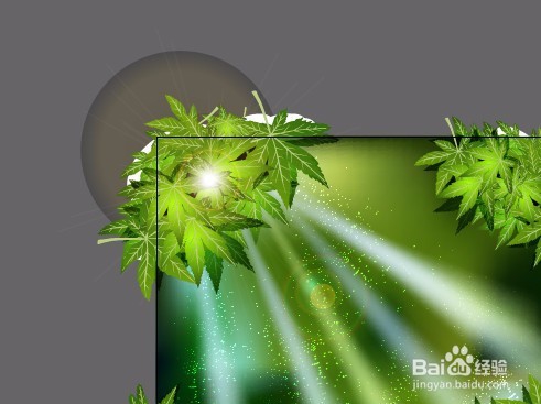 AI教程森林绘制Illustrator cs6