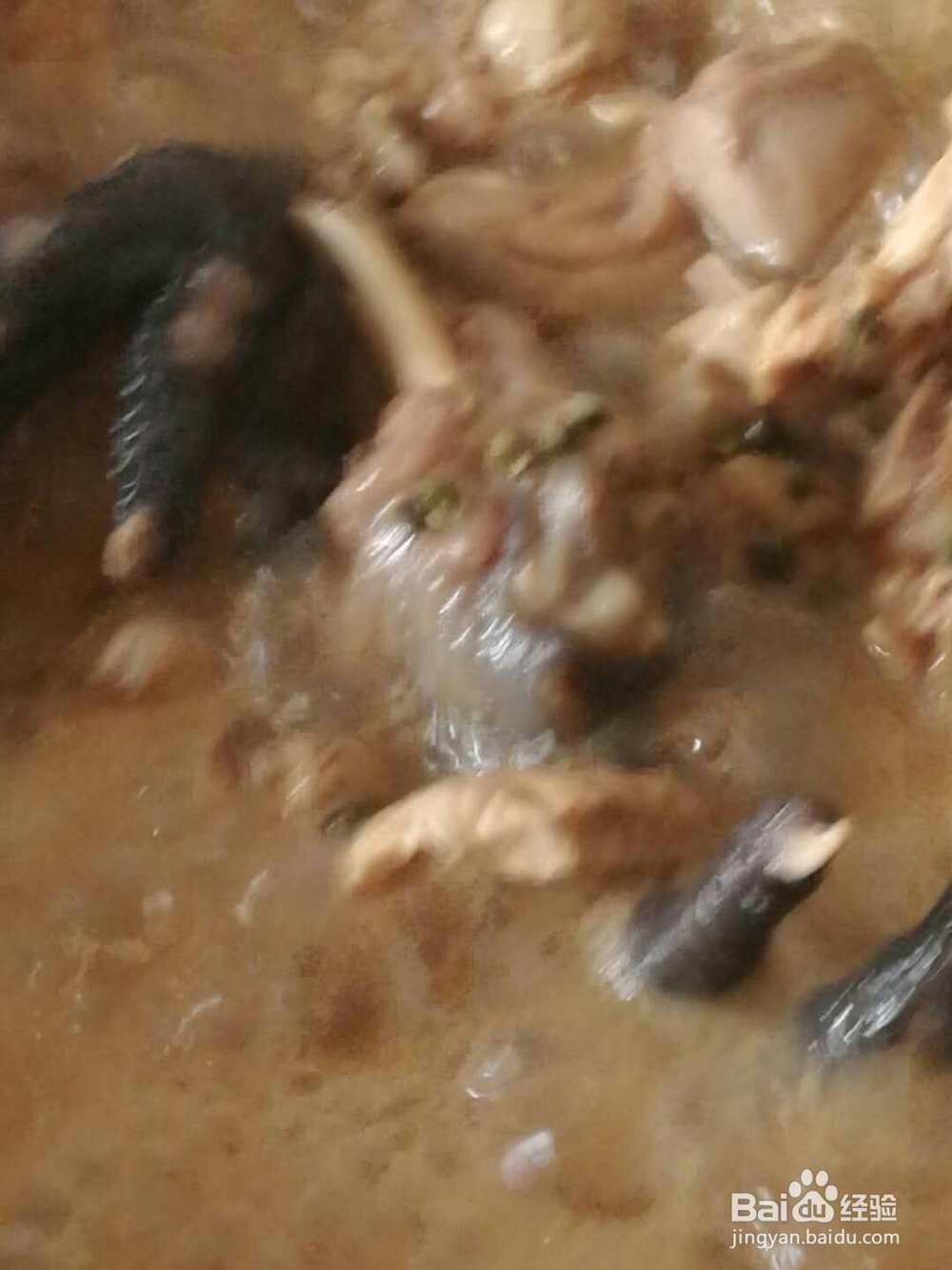 青椒味炖仔鸡