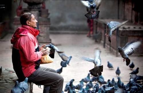 发烧友最爱的佳能5支红圈摄像头