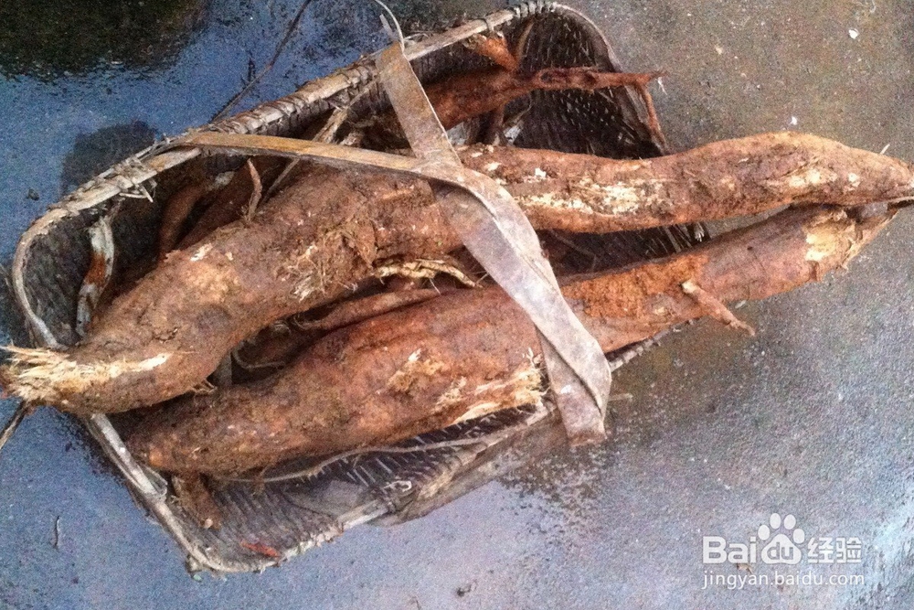 教你早晨如何清肠排除宿便！