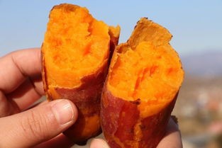 怎样预防大肠癌的发生？