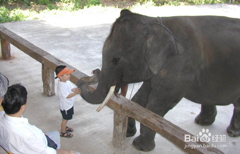 泰国湾苏梅岛旅游攻略