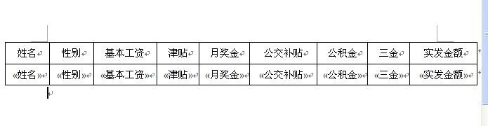 Excel 配合Word 实现工资条套打