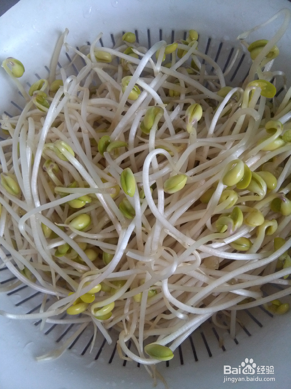 健康美食豆芽炖排骨