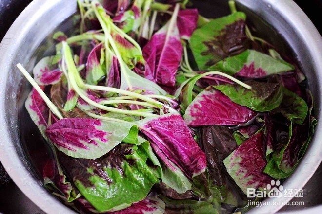 怎么做美味的苋菜