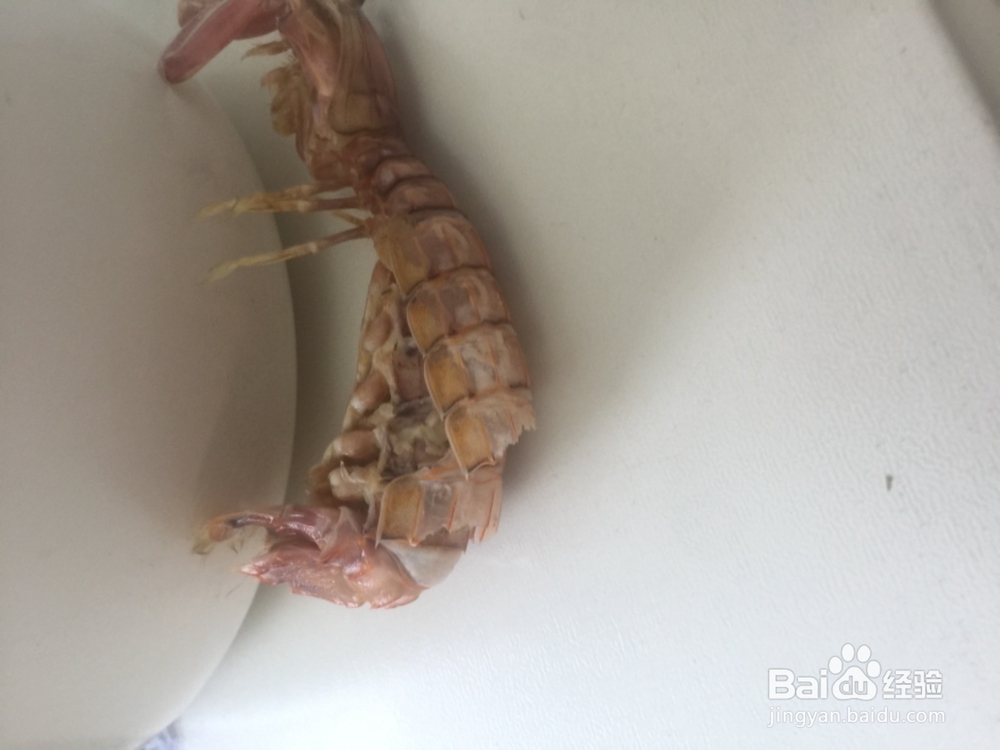 如何做新鲜活爬虾