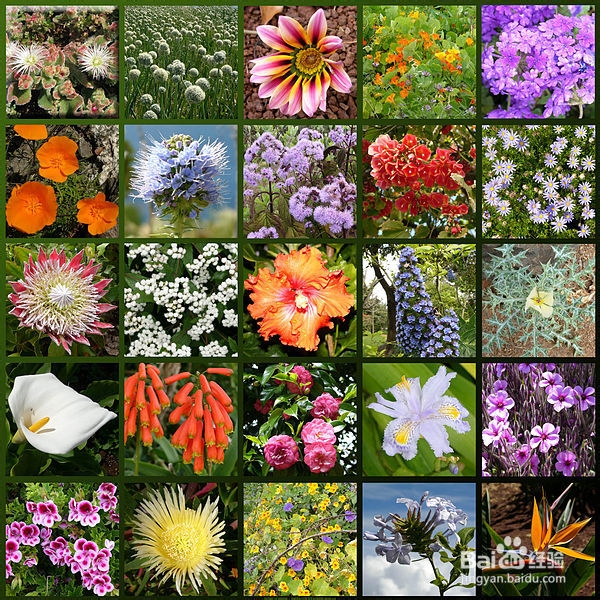 圣诞节礼物送什么好 美国人圣诞礼物送什么