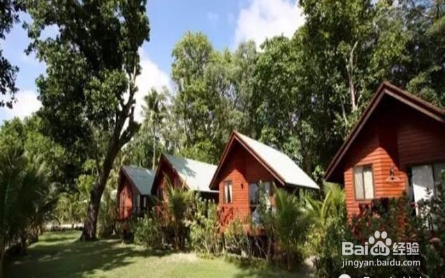 十一免签的高性价比海岛——帕劳旅游攻略