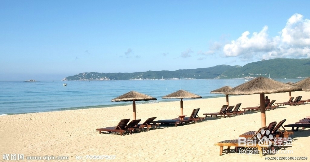 饮食文化素菜的做法