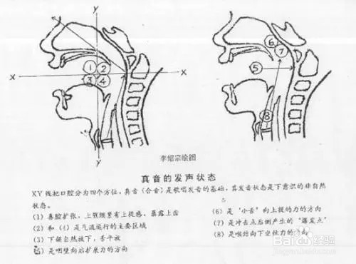 美声入门正确发声方法图片