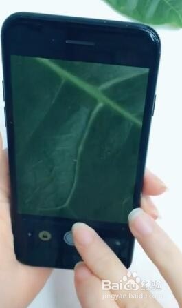 如何用iPhone使用放大器