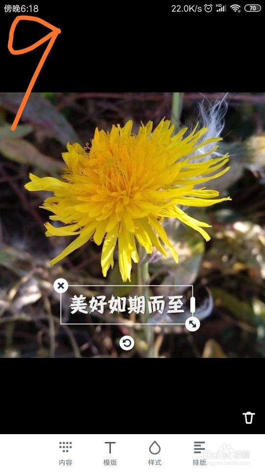 在“稿定设计”中,怎样给图片添加文字