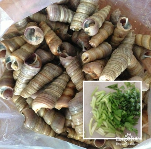 如何烹饪海螺