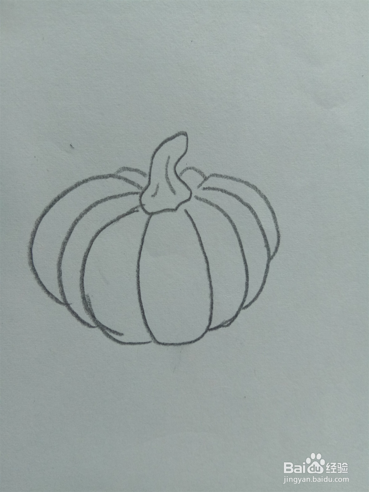 南瓜的简笔画怎么画