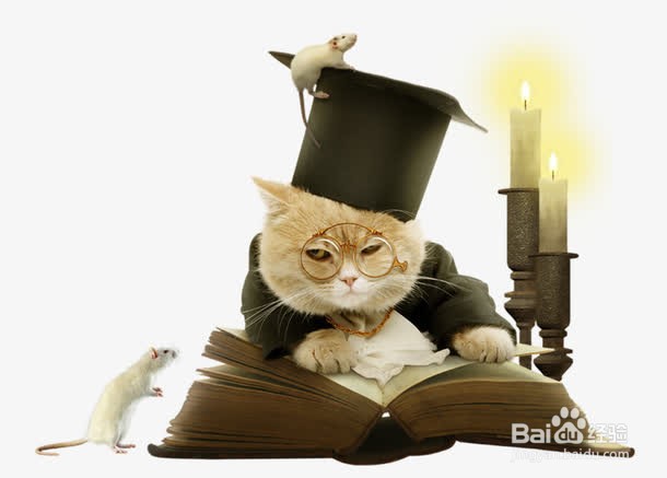 Excel工作表如何快速判断日期属于哪个季节