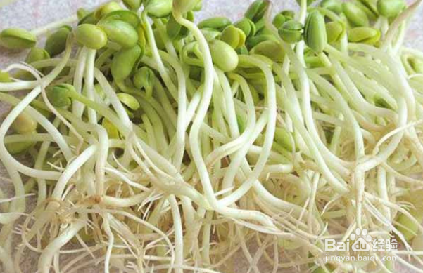 去除霉点小妙招