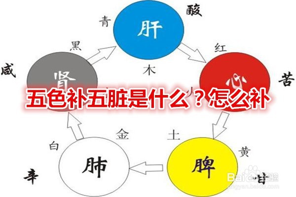 <b>五色补五脏是什么？怎么补</b>