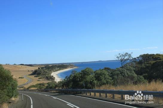 学院街攻略：[57]阿德雷德大学娱乐攻略