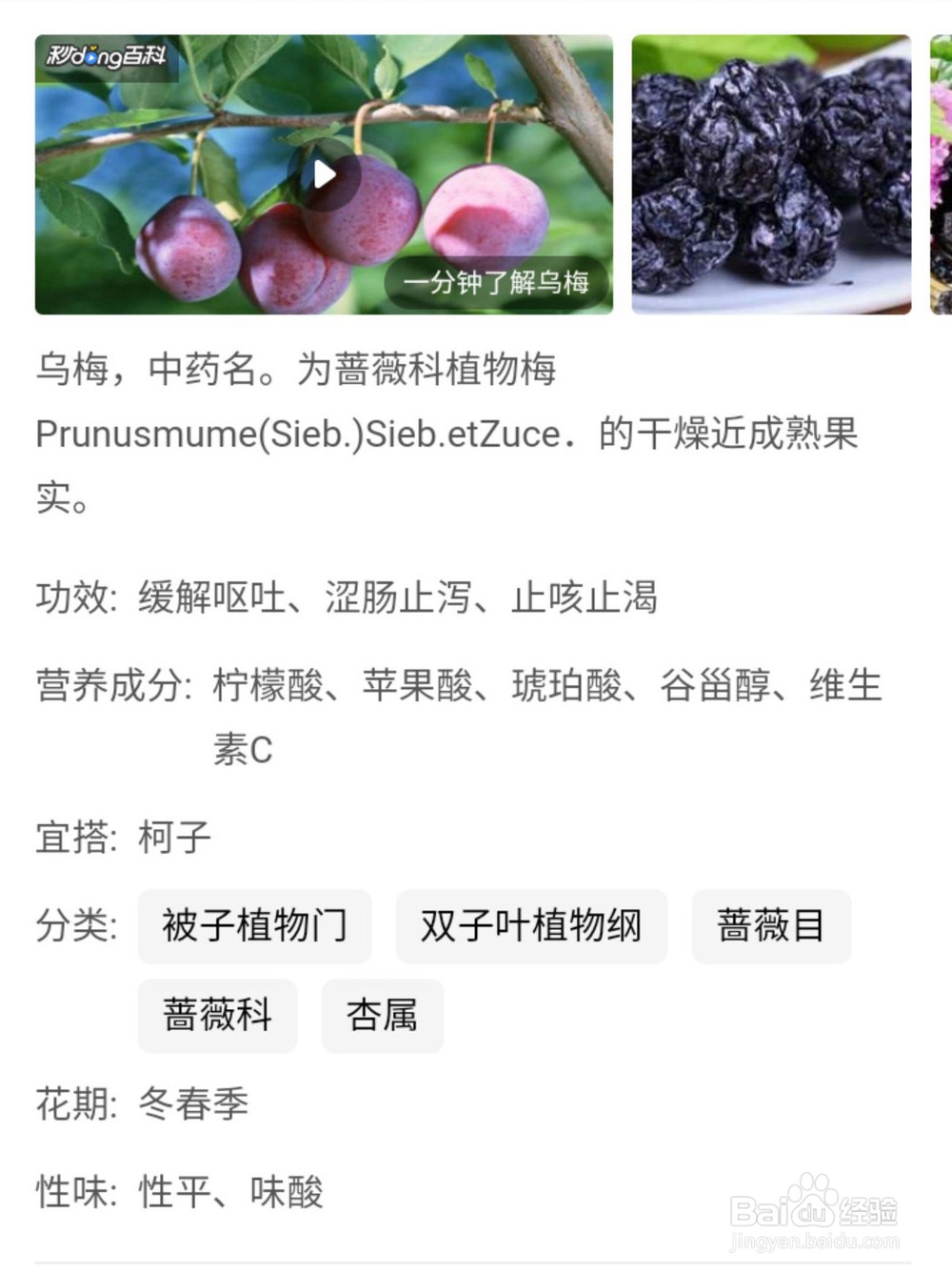 养护肝脏要健康饮食