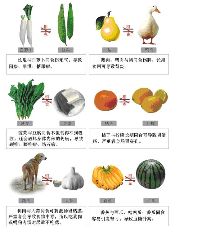 食物相克有科学依据吗