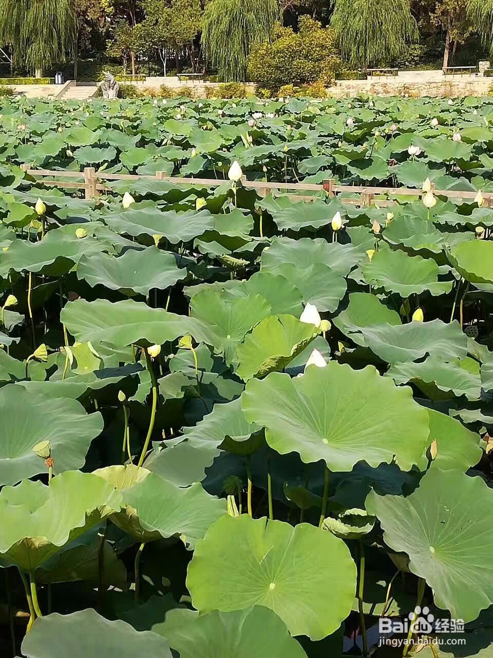 什么样的孩子适合学跳舞