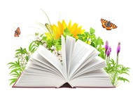 孩子的学习能力是可以培养出来的