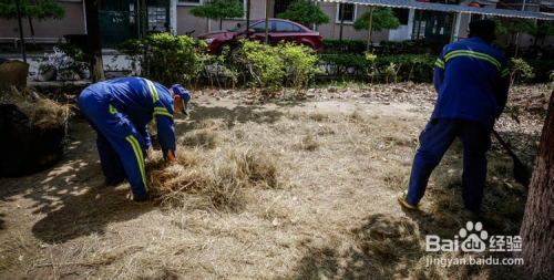 家里养马马粪怎么处理