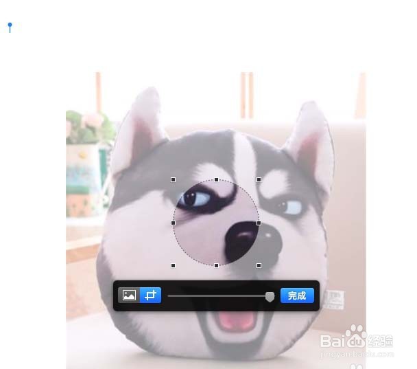 pages怎么遮盖图片实现裁剪效果?