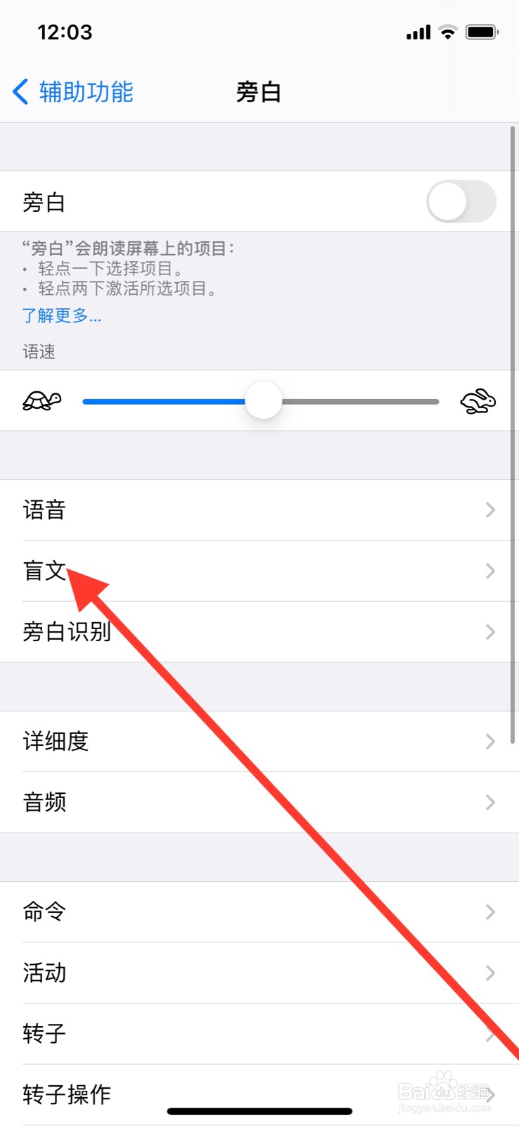 iPhone旁白盲文显示屏幕键盘怎么关闭