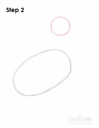 如何画一只鹈鹕——加菲的吃货生活