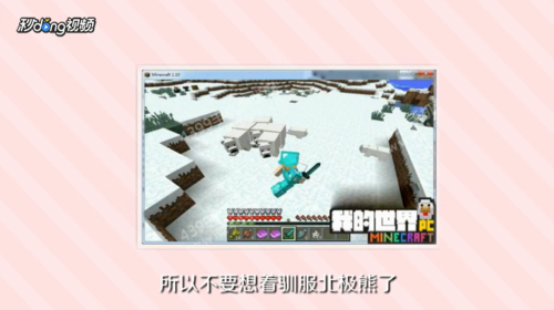 我的世界北极熊怎么驯服