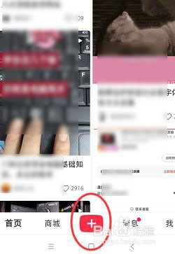 小红书中如何给编辑视频添加背景音乐