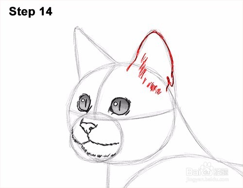 如何画一只猫(孟加拉)——加菲的吃货生活