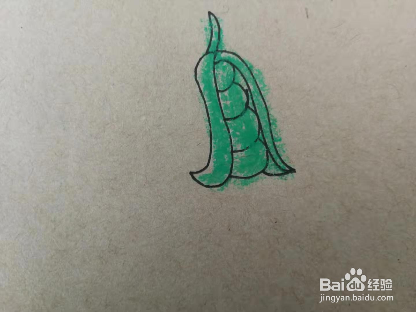 简笔画四季豆