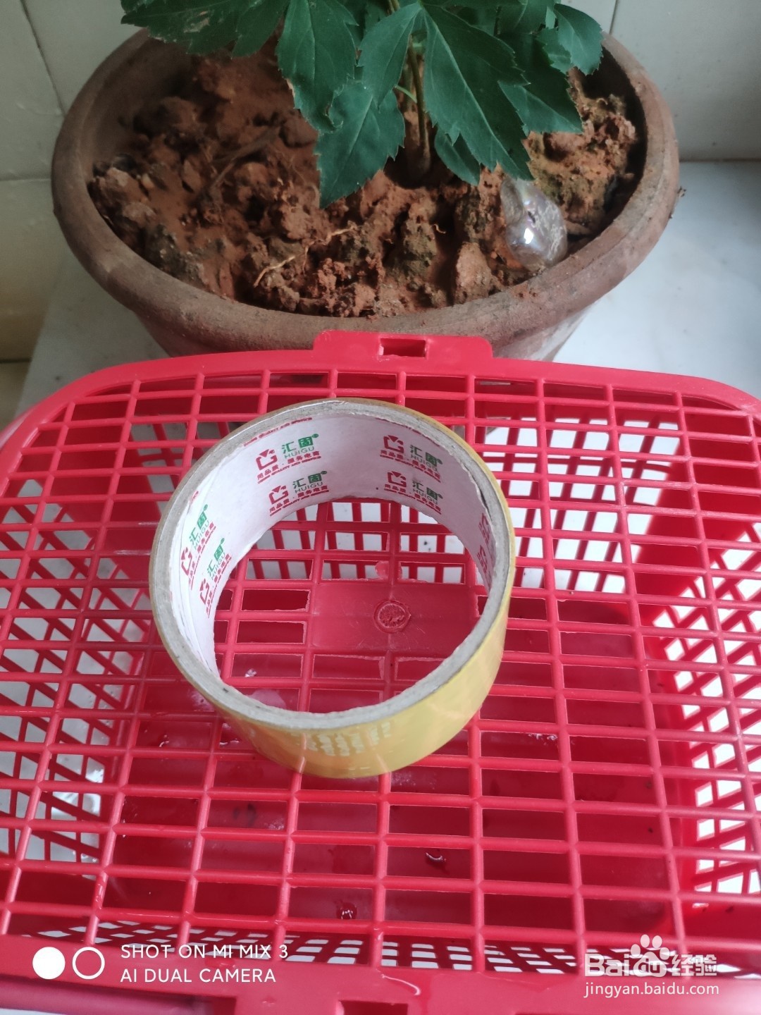 怎么样轻松去除衣服上的纸屑？