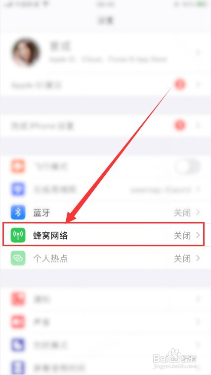 苹果手机怎么开启低数据模式？