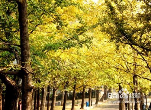 青岛旅游攻略(使用手册)