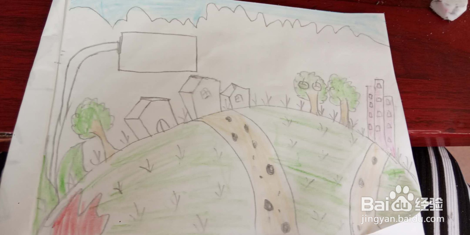 我与森林共呼吸手抄报