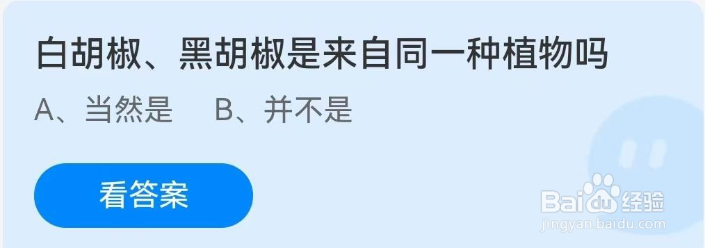 白胡椒、黑胡椒是来自同一种植物吗