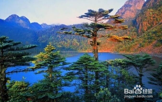 四川西昌有什么好玩的地方?