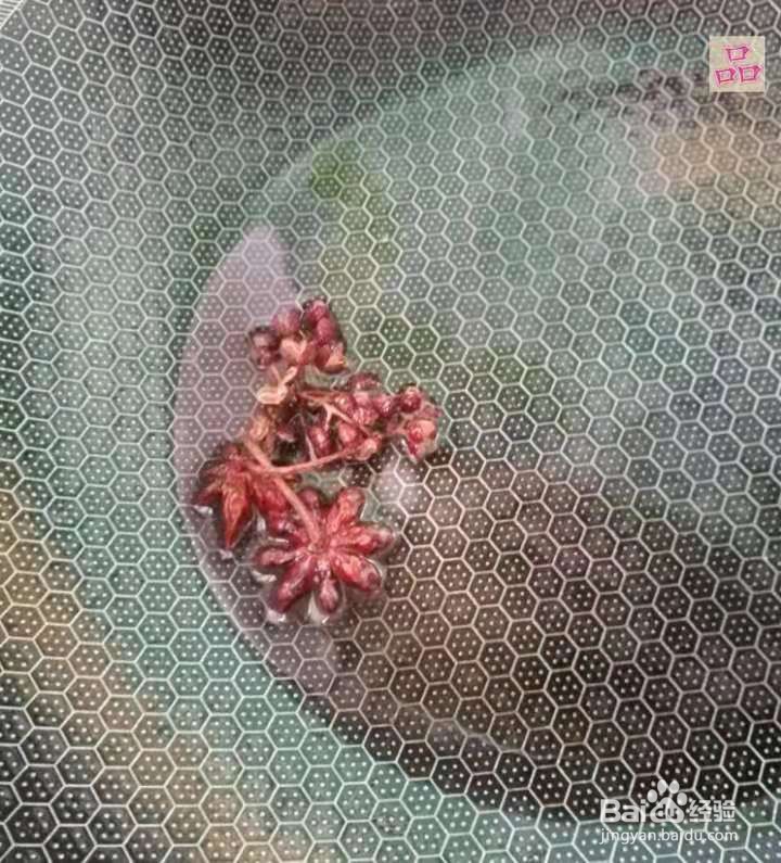 如何做红烧排骨