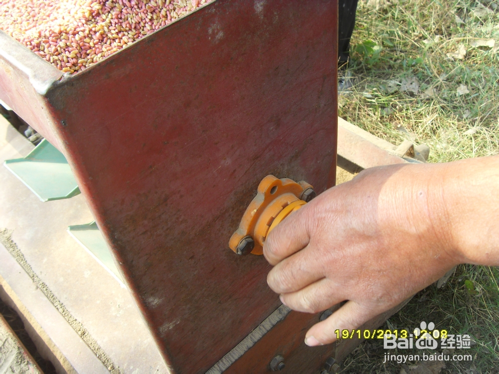 小麦的种植技术
